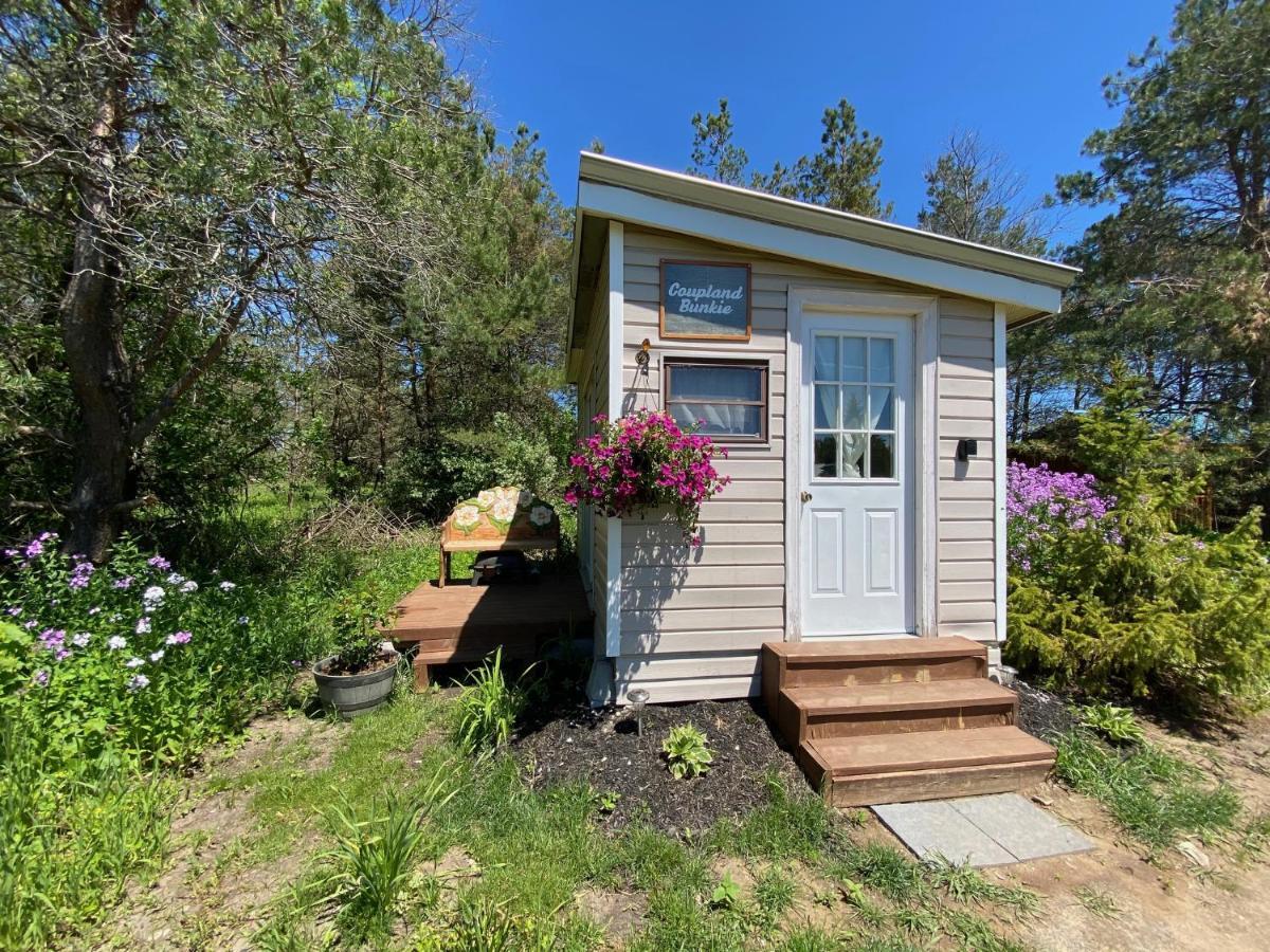 Dreamers Writing Farm, 3 Wooded Acres, Hepworth Sauble Beach Exterior foto