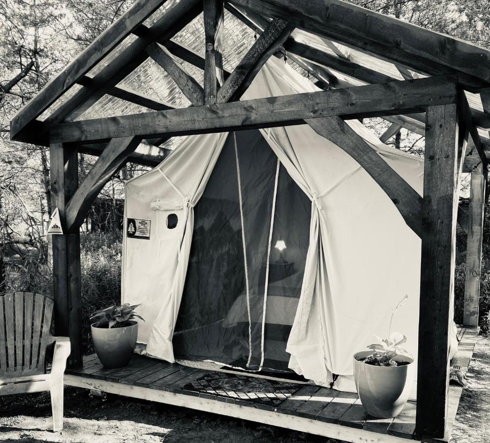 Dreamers Writing Farm, 3 Wooded Acres, Hepworth Sauble Beach Exterior foto