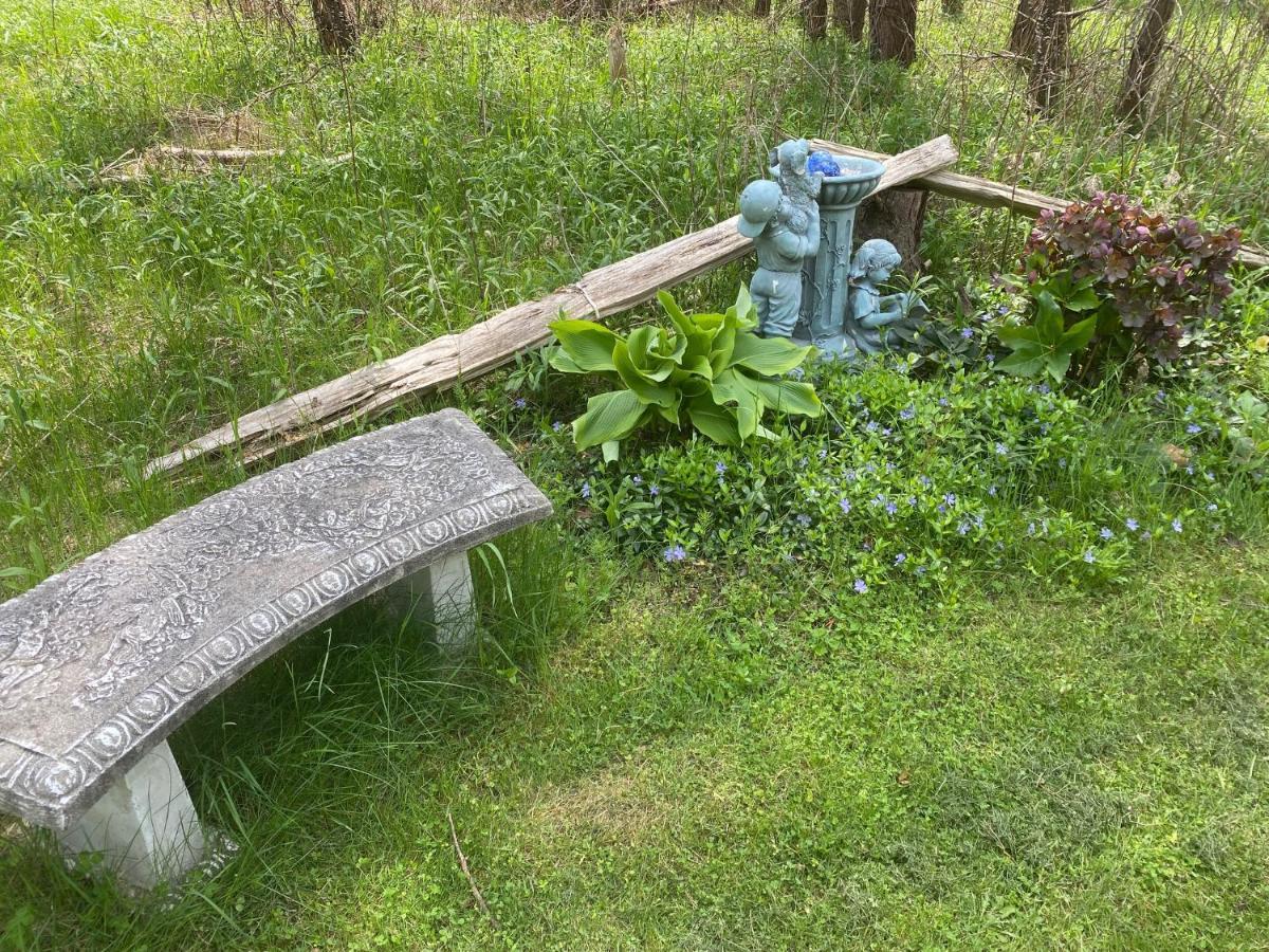 Dreamers Writing Farm, 3 Wooded Acres, Hepworth Sauble Beach Exterior foto