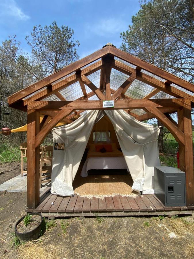 Dreamers Writing Farm, 3 Wooded Acres, Hepworth Sauble Beach Exterior foto