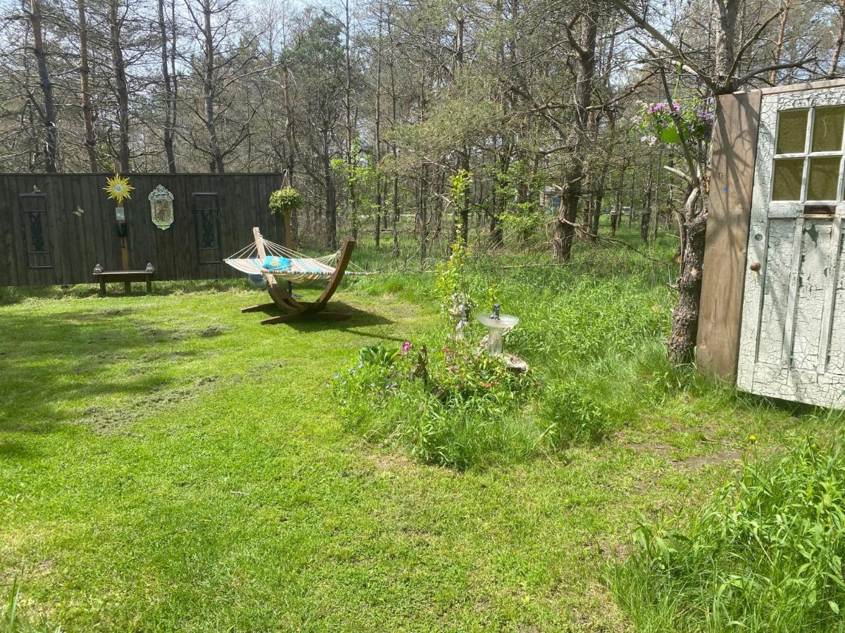 Dreamers Writing Farm, 3 Wooded Acres, Hepworth Sauble Beach Exterior foto