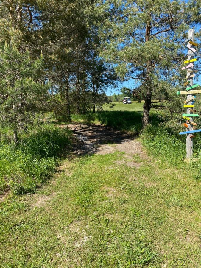 Dreamers Writing Farm, 3 Wooded Acres, Hepworth Sauble Beach Exterior foto